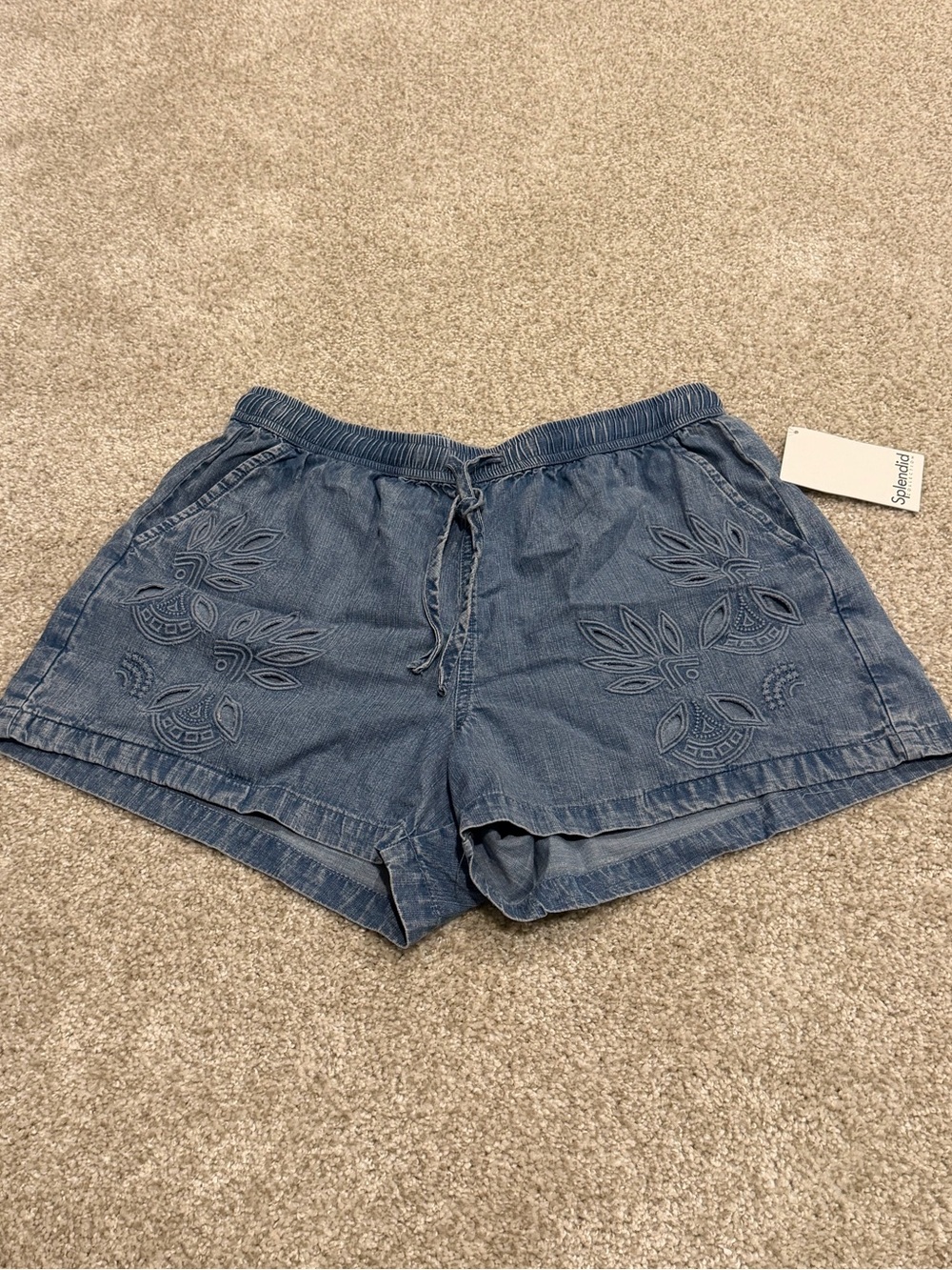 Splendid Blue Shorts